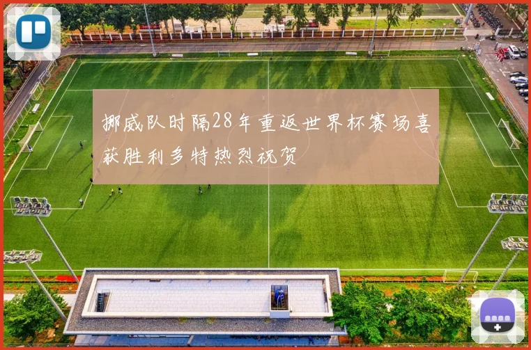 挪威队时隔28年重返世界杯赛场喜获胜利多特热烈祝贺